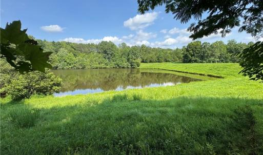 Photo #5 of Edwards Farm, King, NC 22.0 acres
