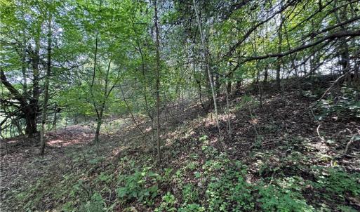 Photo #9 of Edwards Farm, King, NC 22.0 acres