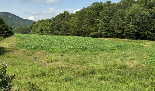 Photo #14 of Edwards Farm, King, NC 22.0 acres
