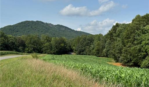 Photo #15 of Edwards Farm, King, NC 22.0 acres
