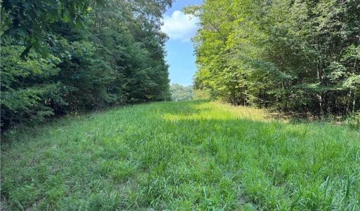 Photo #4 of Edwards Farm, King, NC 22.0 acres