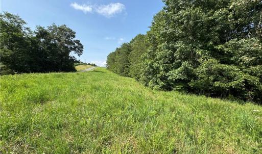 Photo #8 of Edwards Farm, King, NC 22.0 acres