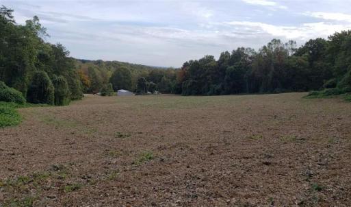 Photo #6 of Reid, King, NC 36.0 acres