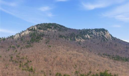 This is the actual view from the cleared area of the parcel