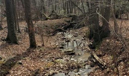 Northern portion
