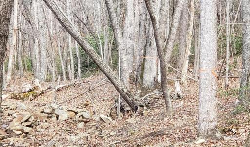 Northern portion of land