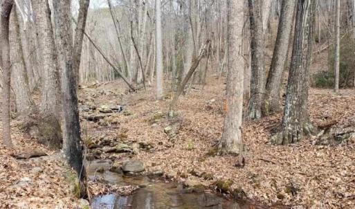 Northern portion of land