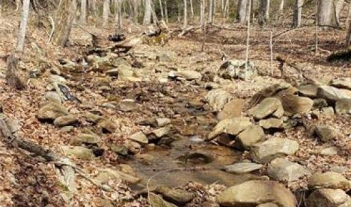 Stream