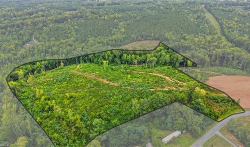 Photo #2 of Valley Level, Reidsville, NC 19.3 acres