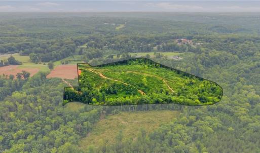 Photo #3 of Valley Level, Reidsville, NC 19.3 acres