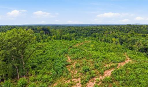Photo #4 of Valley Level, Reidsville, NC 19.3 acres