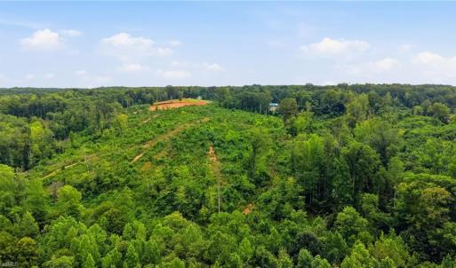 Photo #8 of Valley Level, Reidsville, NC 19.3 acres