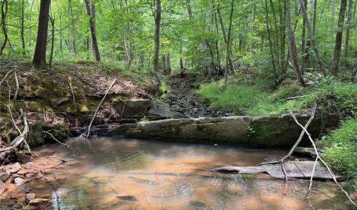 Photo #23 of Jennifer, Reidsville, NC 31.8 acres