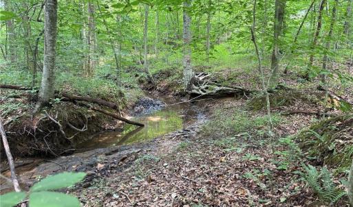 Photo #27 of Jennifer, Reidsville, NC 31.8 acres