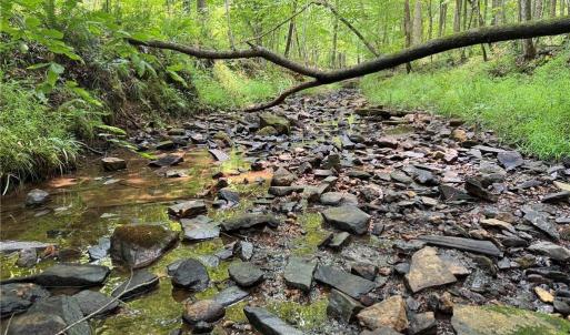 Photo #2 of Jennifer, Reidsville, NC 31.8 acres