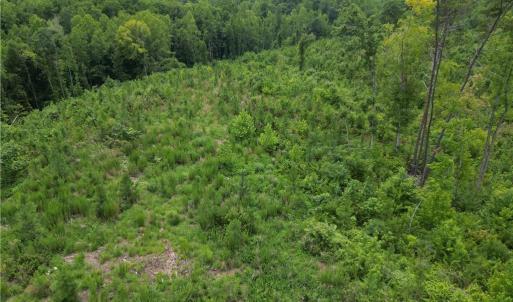 Photo #6 of Jennifer, Reidsville, NC 31.8 acres