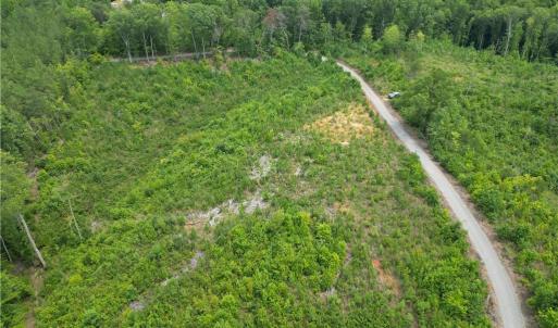 Photo #13 of Jennifer, Reidsville, NC 31.8 acres