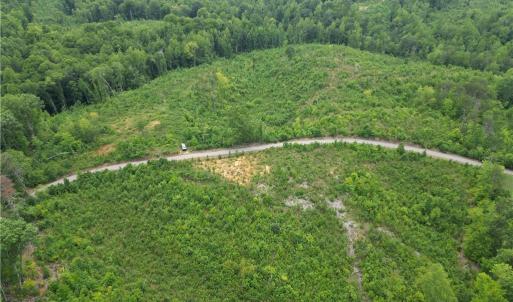 Photo #17 of Jennifer, Reidsville, NC 31.8 acres