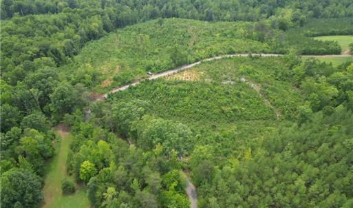 Photo #16 of Jennifer, Reidsville, NC 31.8 acres