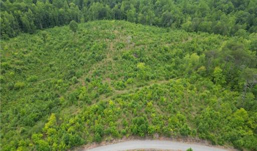 Photo #12 of Jennifer, Reidsville, NC 31.8 acres