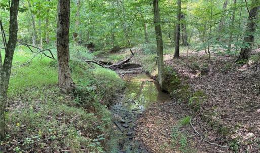 Photo #26 of Jennifer, Reidsville, NC 31.8 acres