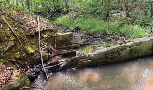 Photo #3 of Jennifer, Reidsville, NC 31.8 acres