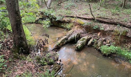 Photo #1 of Jennifer, Reidsville, NC 31.8 acres