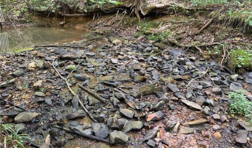 Photo #28 of Jennifer, Reidsville, NC 31.8 acres