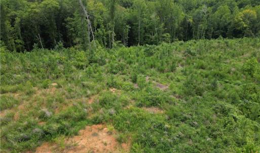 Photo #5 of Jennifer, Reidsville, NC 31.8 acres