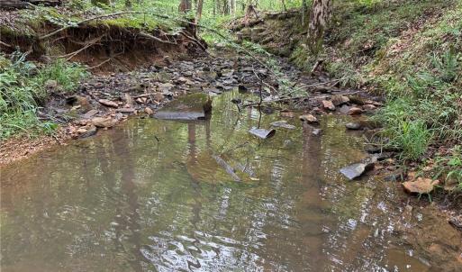 Photo #20 of Jennifer, Reidsville, NC 31.8 acres