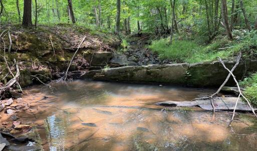 Photo #24 of Jennifer, Reidsville, NC 31.8 acres