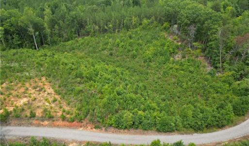 Photo #10 of Jennifer, Reidsville, NC 31.8 acres