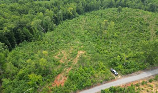 Photo #14 of Jennifer, Reidsville, NC 31.8 acres