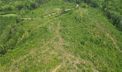 Photo #18 of Jennifer, Reidsville, NC 31.8 acres
