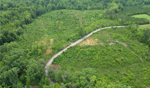 Photo #15 of Jennifer, Reidsville, NC 31.8 acres