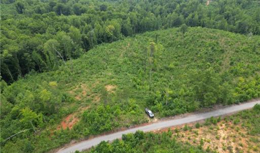 Photo #11 of Jennifer, Reidsville, NC 31.8 acres