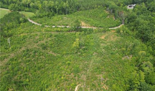 Photo #19 of Jennifer, Reidsville, NC 31.8 acres