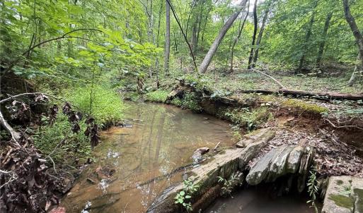 Photo #4 of Jennifer, Reidsville, NC 31.8 acres