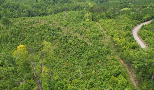 Photo #8 of Jennifer, Reidsville, NC 31.8 acres