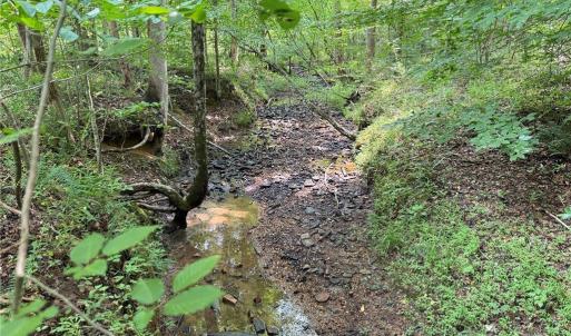 Photo #25 of Jennifer, Reidsville, NC 31.8 acres