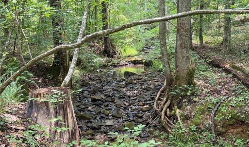 Photo #21 of Jennifer, Reidsville, NC 31.8 acres