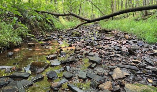 Photo #2 of Jennifer, Reidsville, NC 31.8 acres