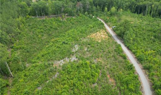 Photo #13 of Jennifer, Reidsville, NC 31.8 acres