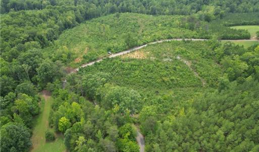 Photo #16 of Jennifer, Reidsville, NC 31.8 acres