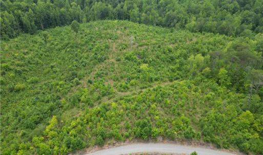 Photo #12 of Jennifer, Reidsville, NC 31.8 acres