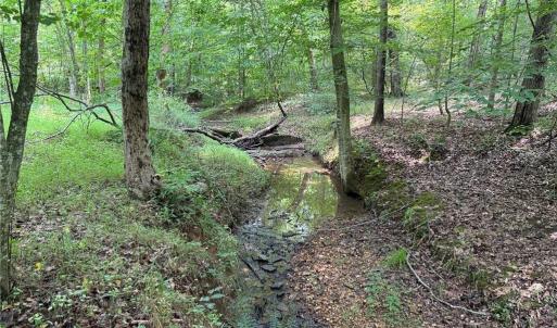 Photo #26 of Jennifer, Reidsville, NC 31.8 acres
