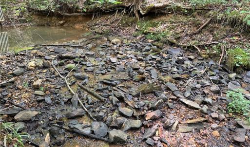 Photo #28 of Jennifer, Reidsville, NC 31.8 acres