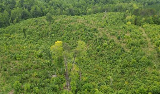 Photo #9 of Jennifer, Reidsville, NC 31.8 acres