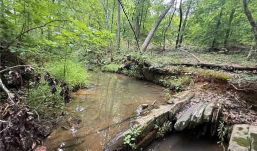 Photo #4 of Jennifer, Reidsville, NC 31.8 acres