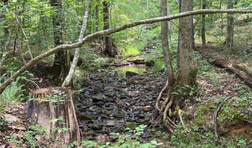 Photo #21 of Jennifer, Reidsville, NC 31.8 acres